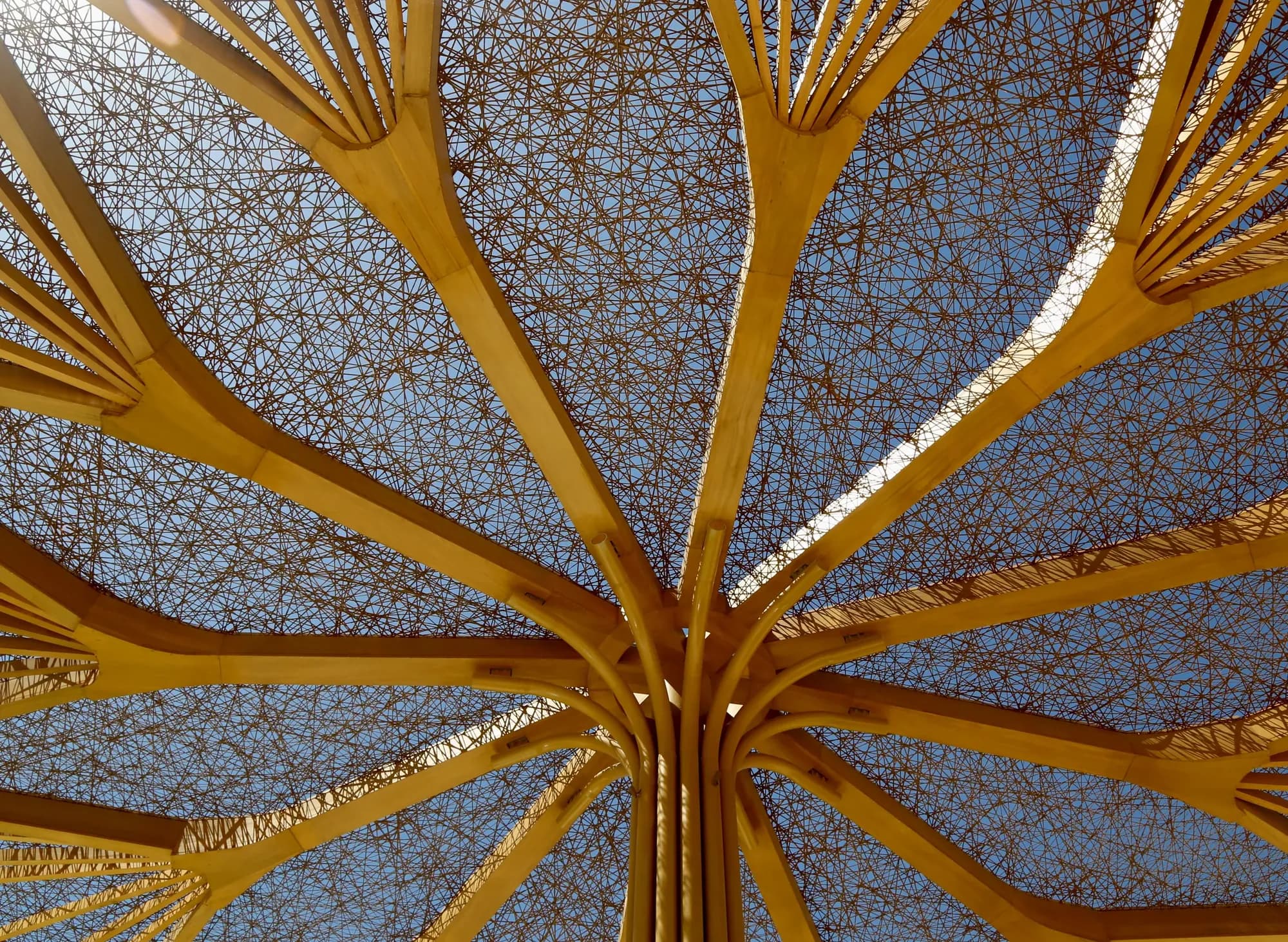 Miraval The Red Sea — The Samur trees — hardscape & timber structures — 3