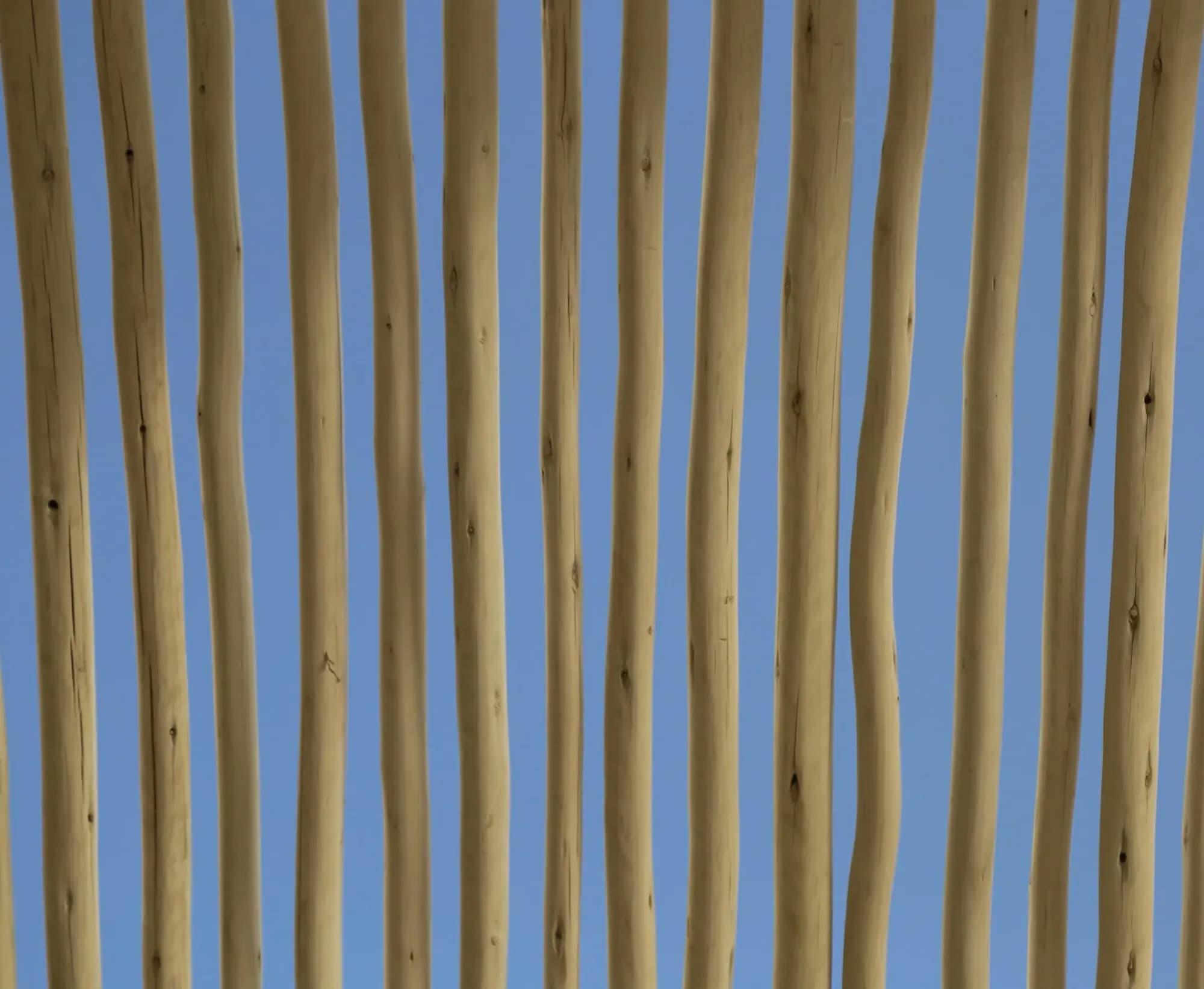 SLS Red Sea — Japanese restaurant soffit — eucalyptus — 4