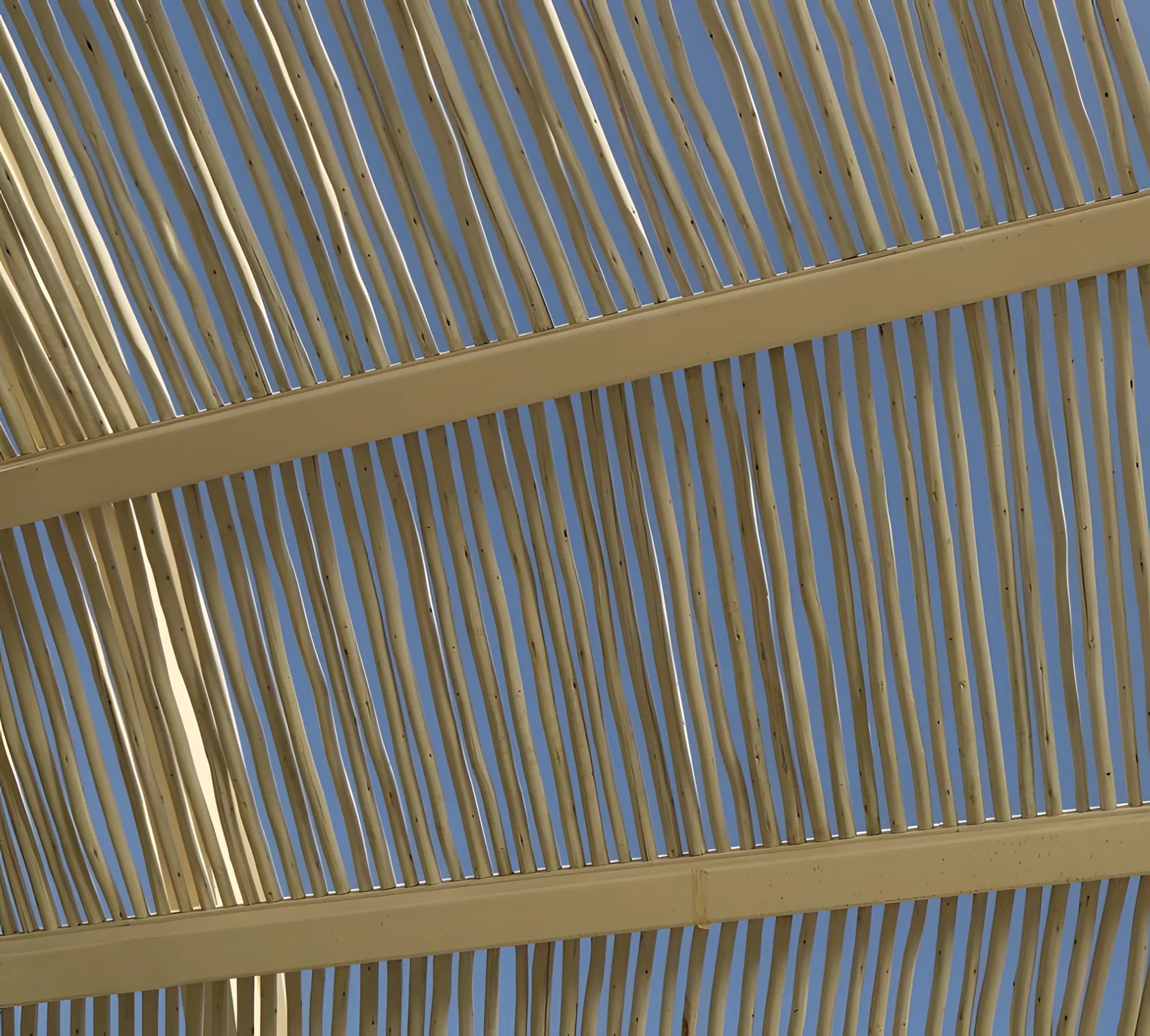SLS Red Sea — Japanese restaurant soffit — eucalyptus — 5